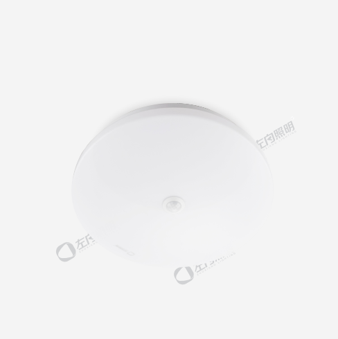 自帶電源集中控制型消防應(yīng)急照明燈具 ZX2221+(感應(yīng))