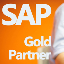 年销售收入多少的企业适合用 SAP？