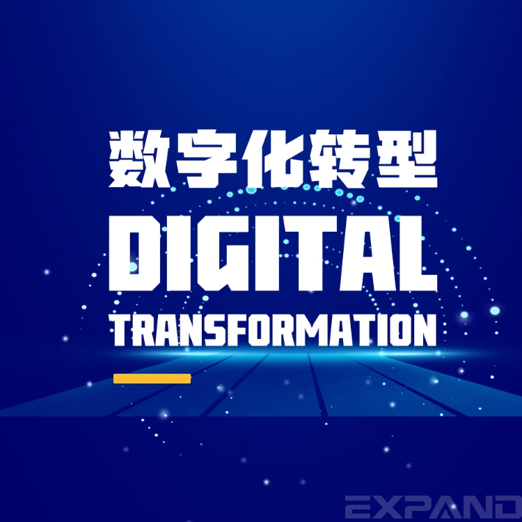 数字化转型实战【音频】