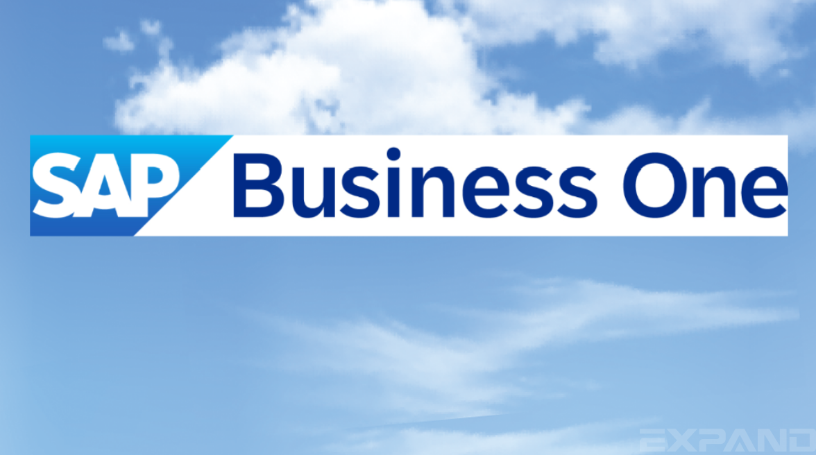 ​SAP B1 ERP系统与OA深度融合，使苏州港旺的运营管理压缩了时间，拓展了空间