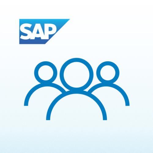 SAP Business One启动包