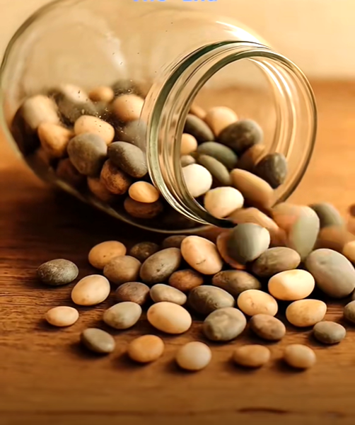 你生命中有多少颗属于自己的鹅卵石？