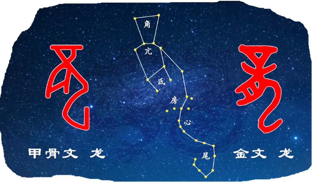 龙的原形 ----“以物证源”系列宣传之十一