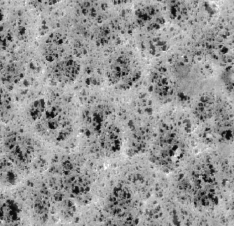 Millipore PVC表面滤膜