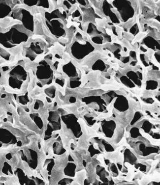 Millipore Durapore表面滤膜