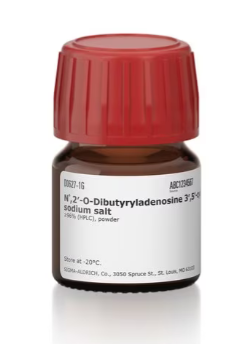 N6,2′-O-二丁酰基腺苷 3′,5′-环单磷酸 钠盐