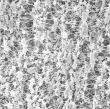 Millipore Fluoropore™、Mitex™、LCR 和 Omnipore™ 表面滤膜