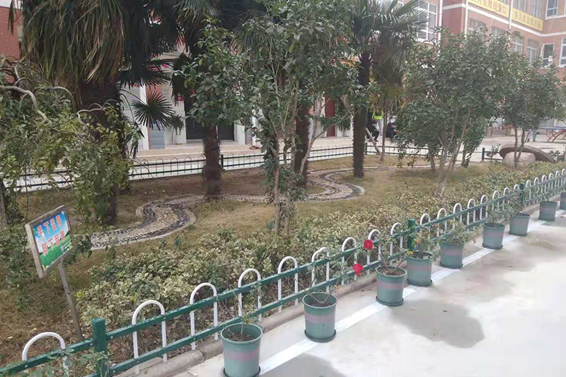 绿色的花草
