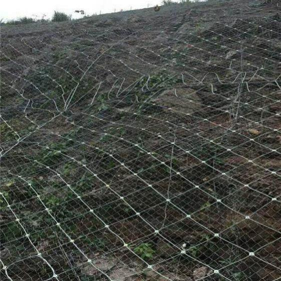 主动边坡防护网