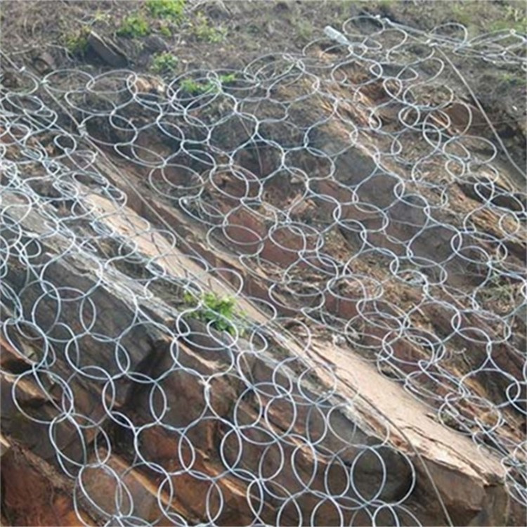 主动边坡防护网