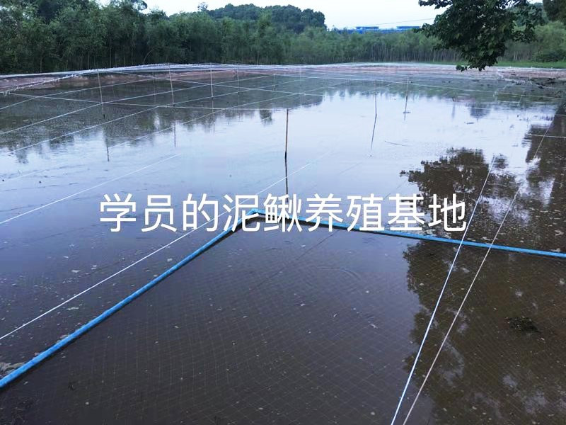 学员的养殖基地