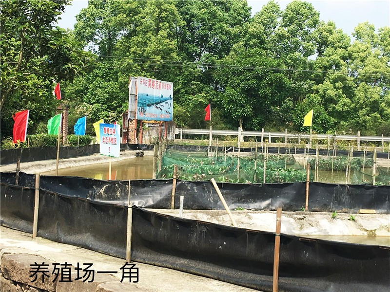 学员的养殖基地