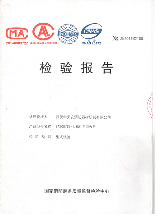 檢驗報告