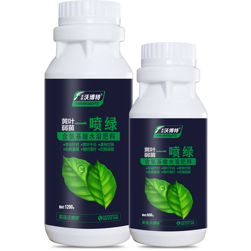 黄叶 弱苗  一喷绿