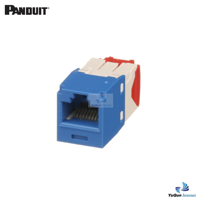 泛达超五类非屏蔽模块(蓝/白)