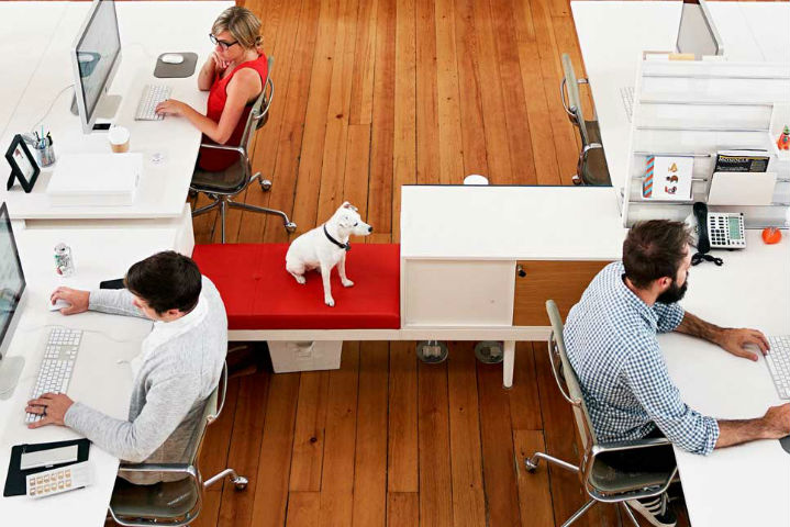 如何吸引千禧一代的劳动力-职场人士？