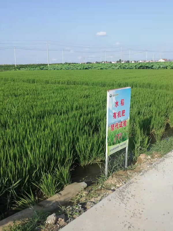 试验田