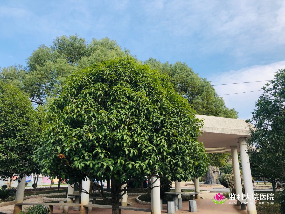 医院花圃新环境