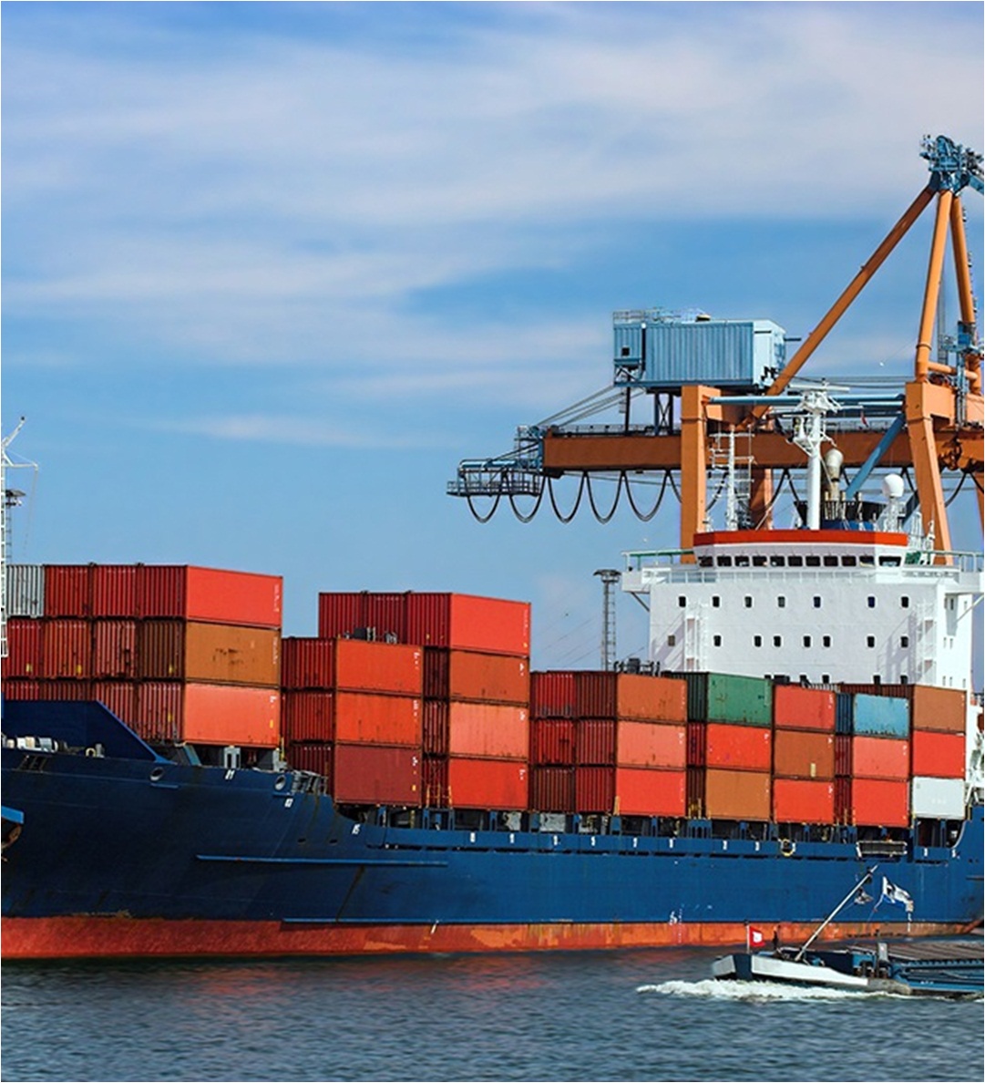 这7个国家都发布了海关新规--注意啦！！！