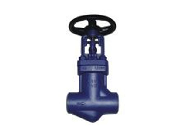 美标高压波纹管截止阀