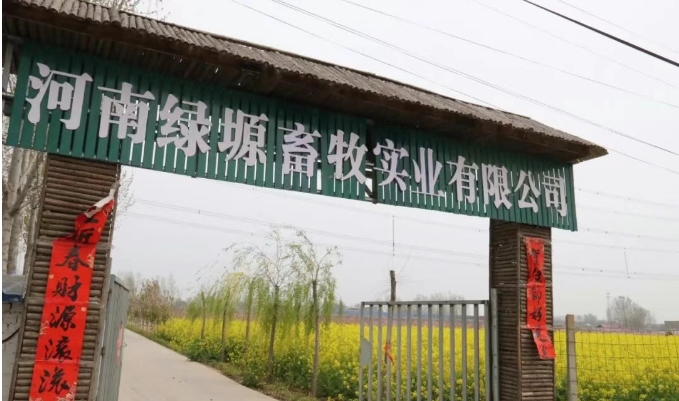 稳产保供！河南抢抓农业生产关键期