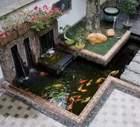 酒店庭院鱼池