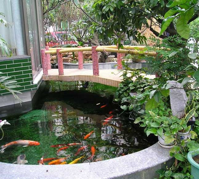 小区花园鱼池