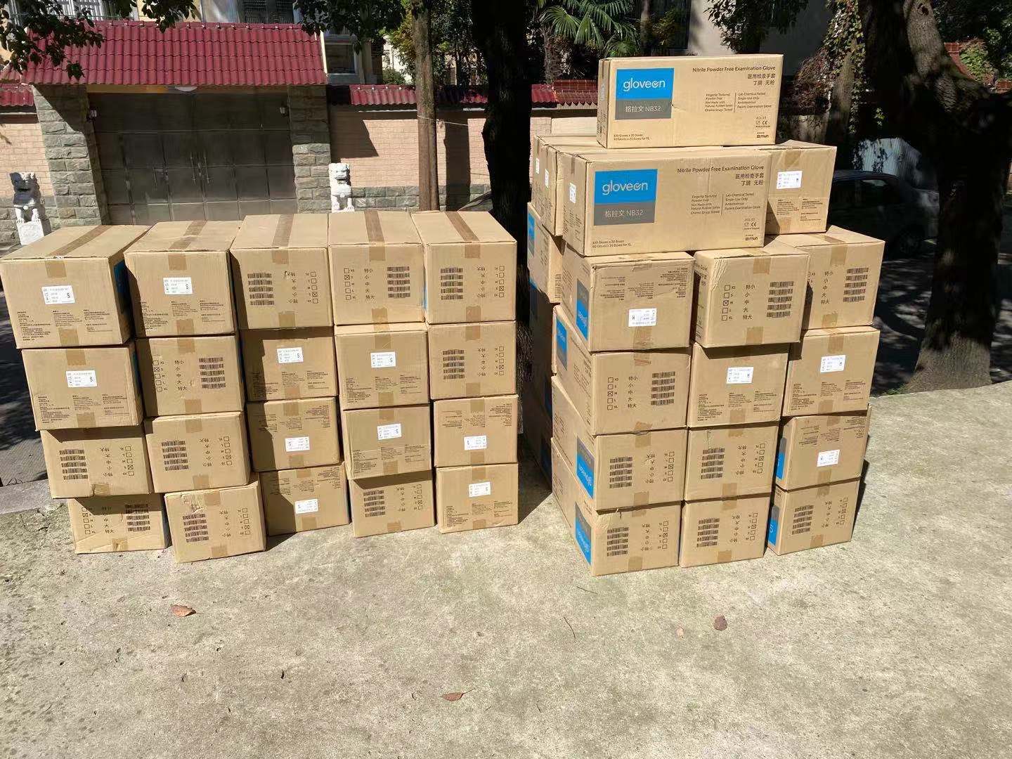 格拉文丁青手套 2000只一箱