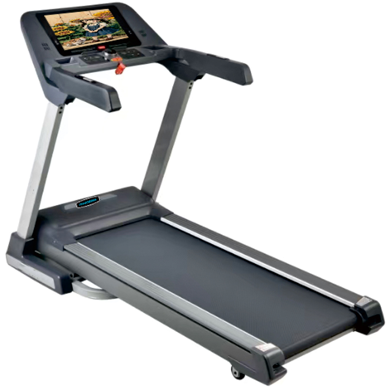 Luxury Treadmill 1313D-1