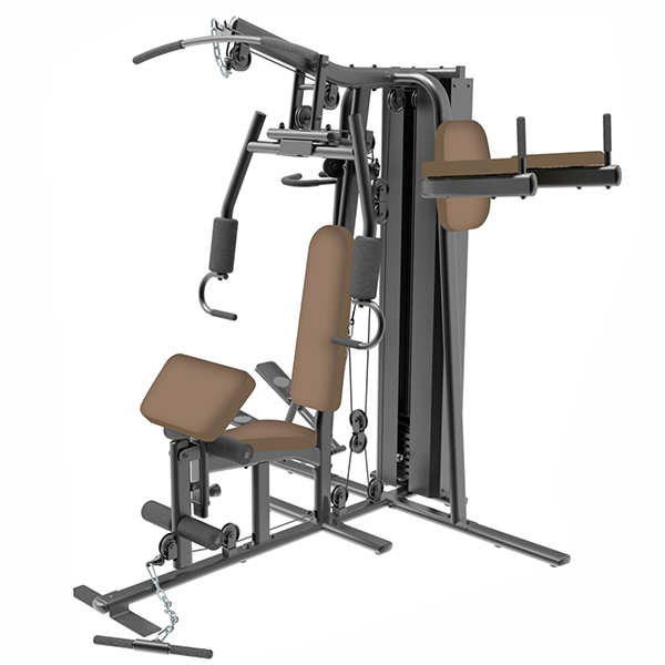 Luxury Three-Station Trainer 1536