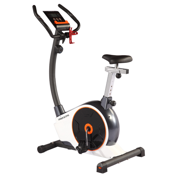 Luxury Standing Exercise Bike 181