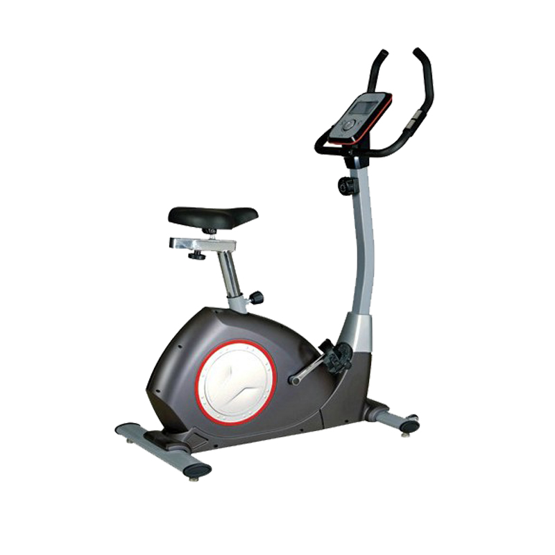 Luxury standing exercise bike 8718