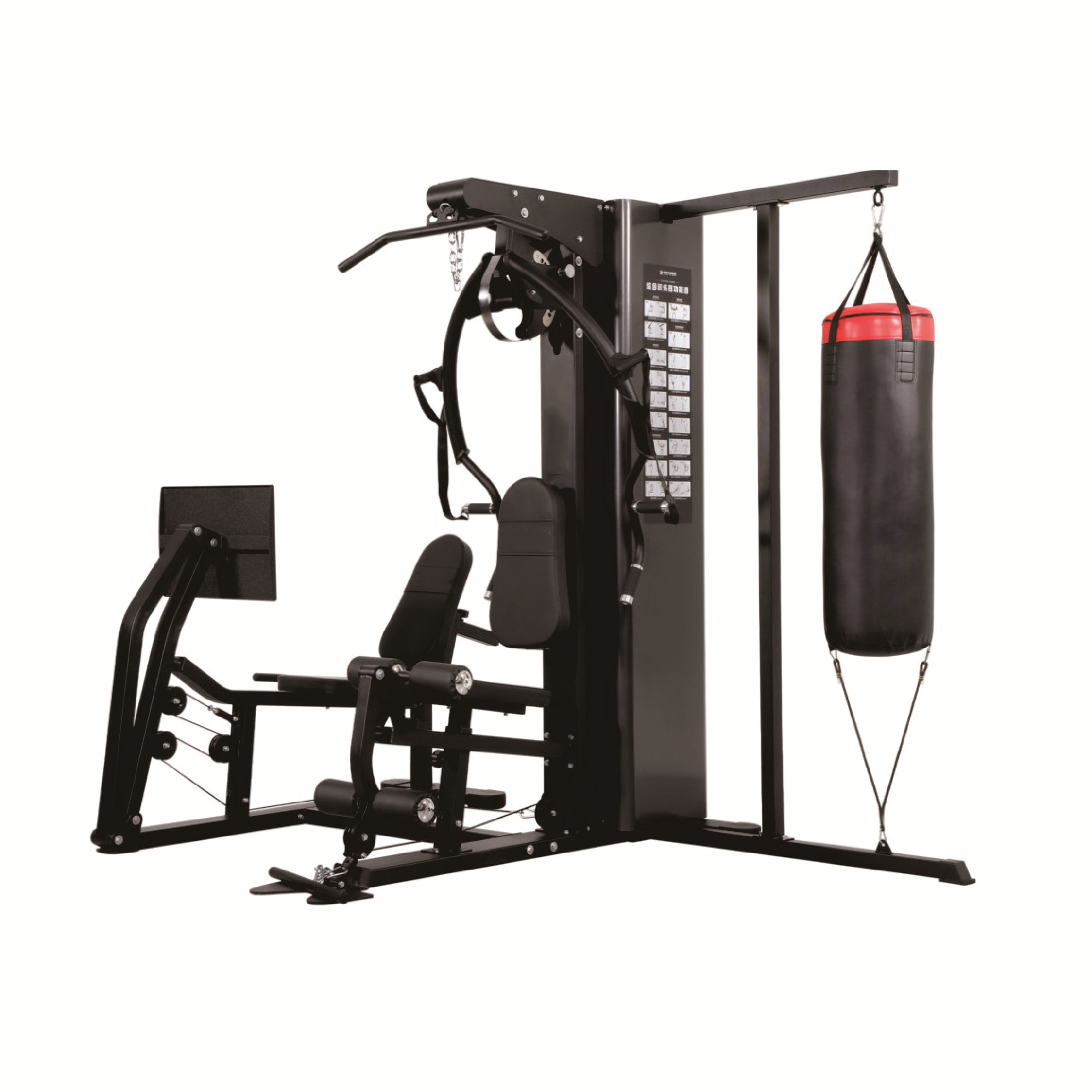 Tripartite multi-functional trainer 2010