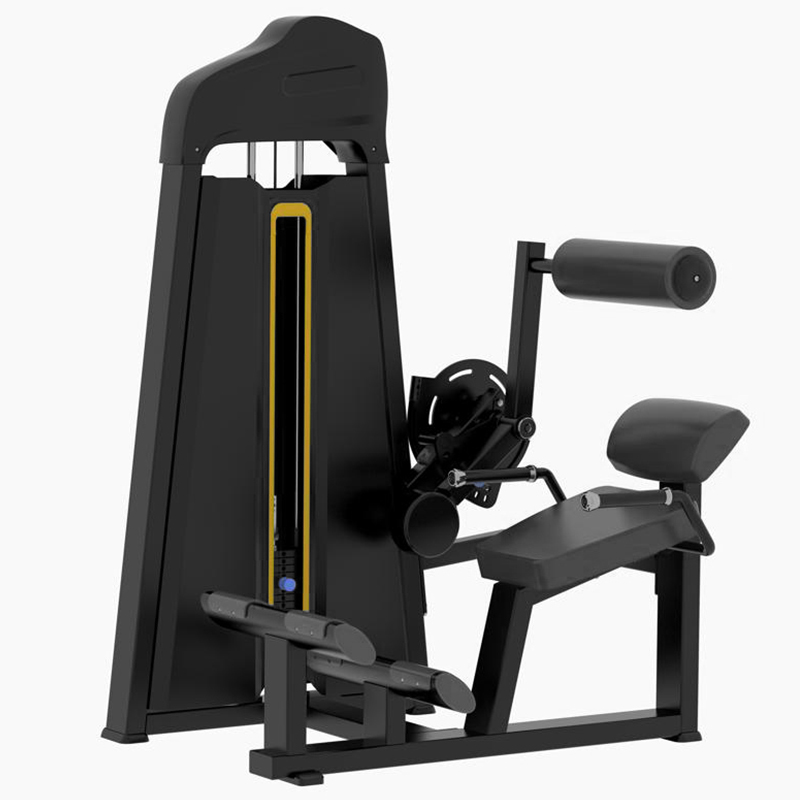 Back muscle trainer C019