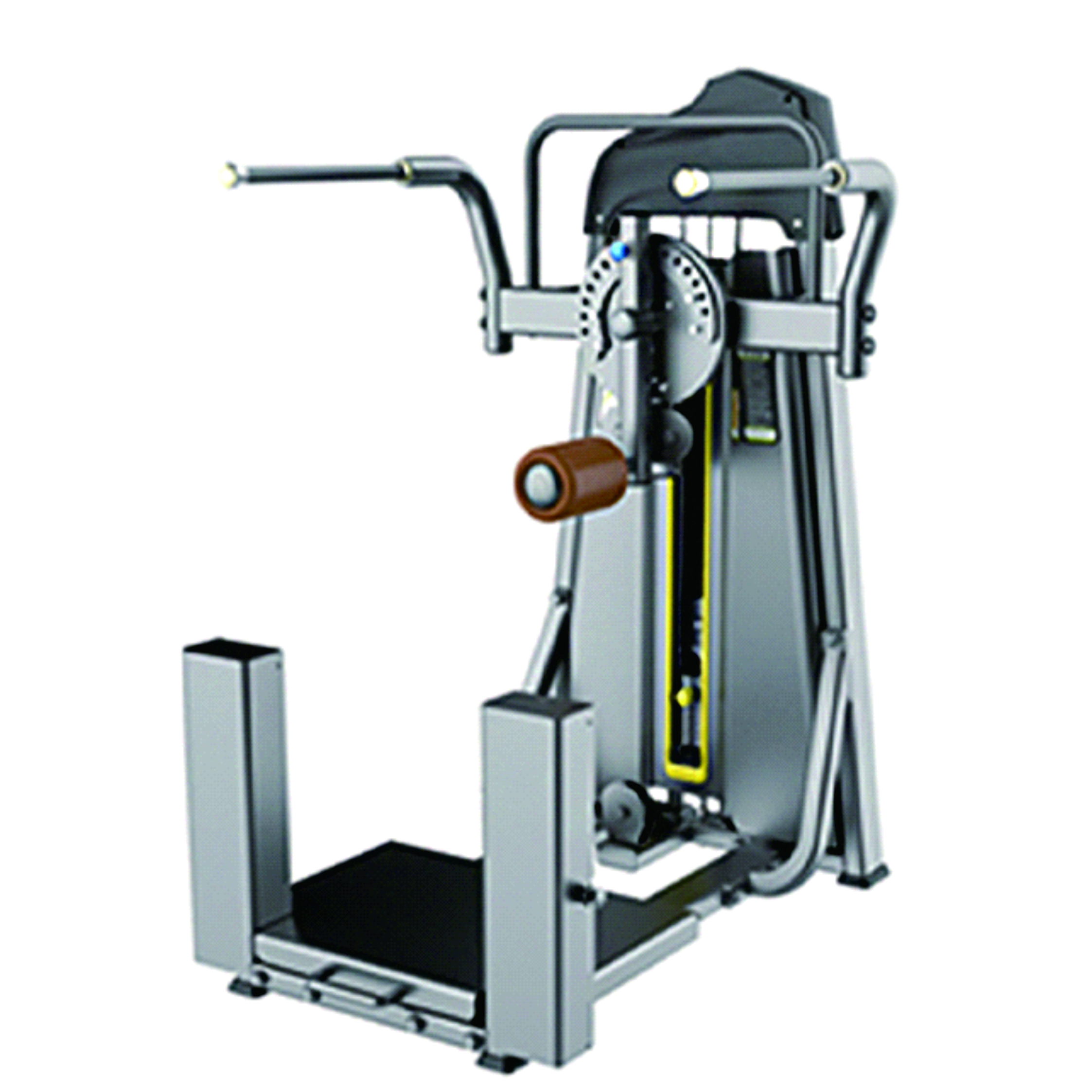 Leg swing trainer P811