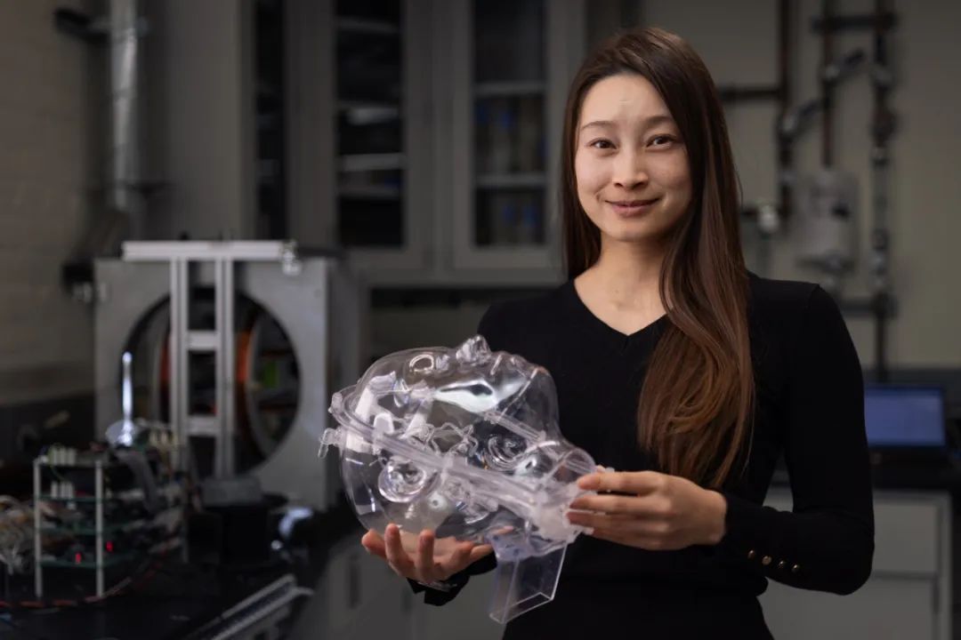 美国华裔美女科学家发明颠覆性中风疗法！血栓清除成功率达90%，或彻底改变游戏规则！