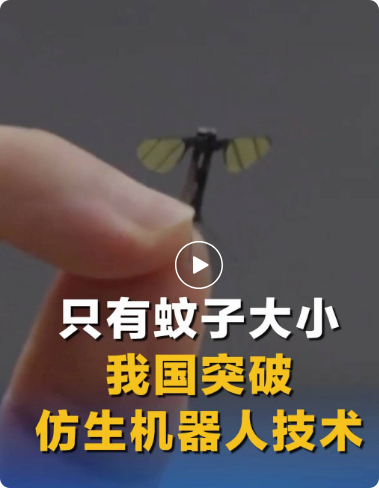 我国成功研发蚊子大小仿生机器人