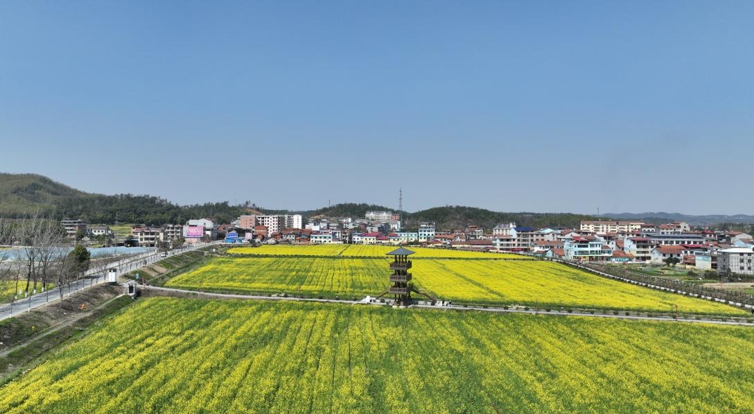 实地考察促发展 | 恒辉公司考察大冶市 三十年历史油菜籽加工厂