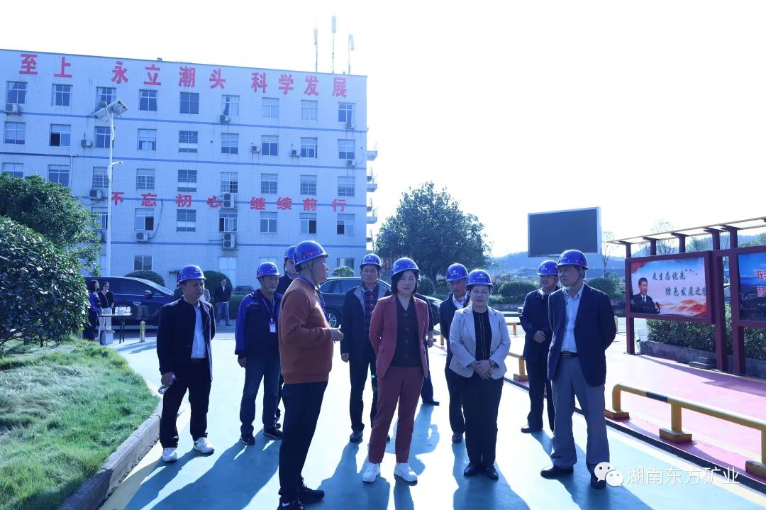 湖南省政协领导深入湖南东方矿业进行调研