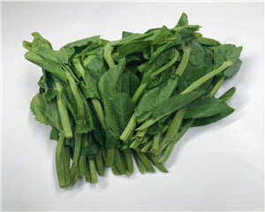 豌豆苗