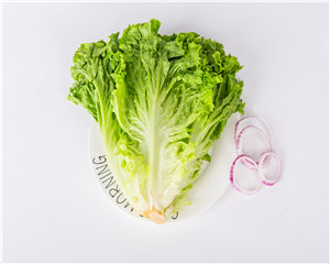 叶生菜