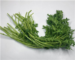 茼蒿