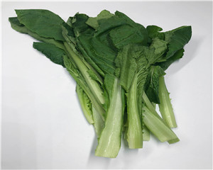 油麦菜