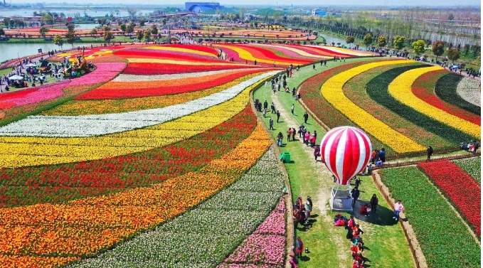 【流星宇照明】荷兰花海｜天沐温泉度假酒店