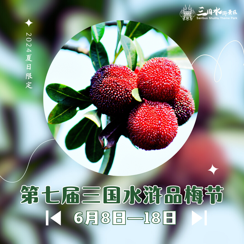 一连十一天！免费品杨梅！