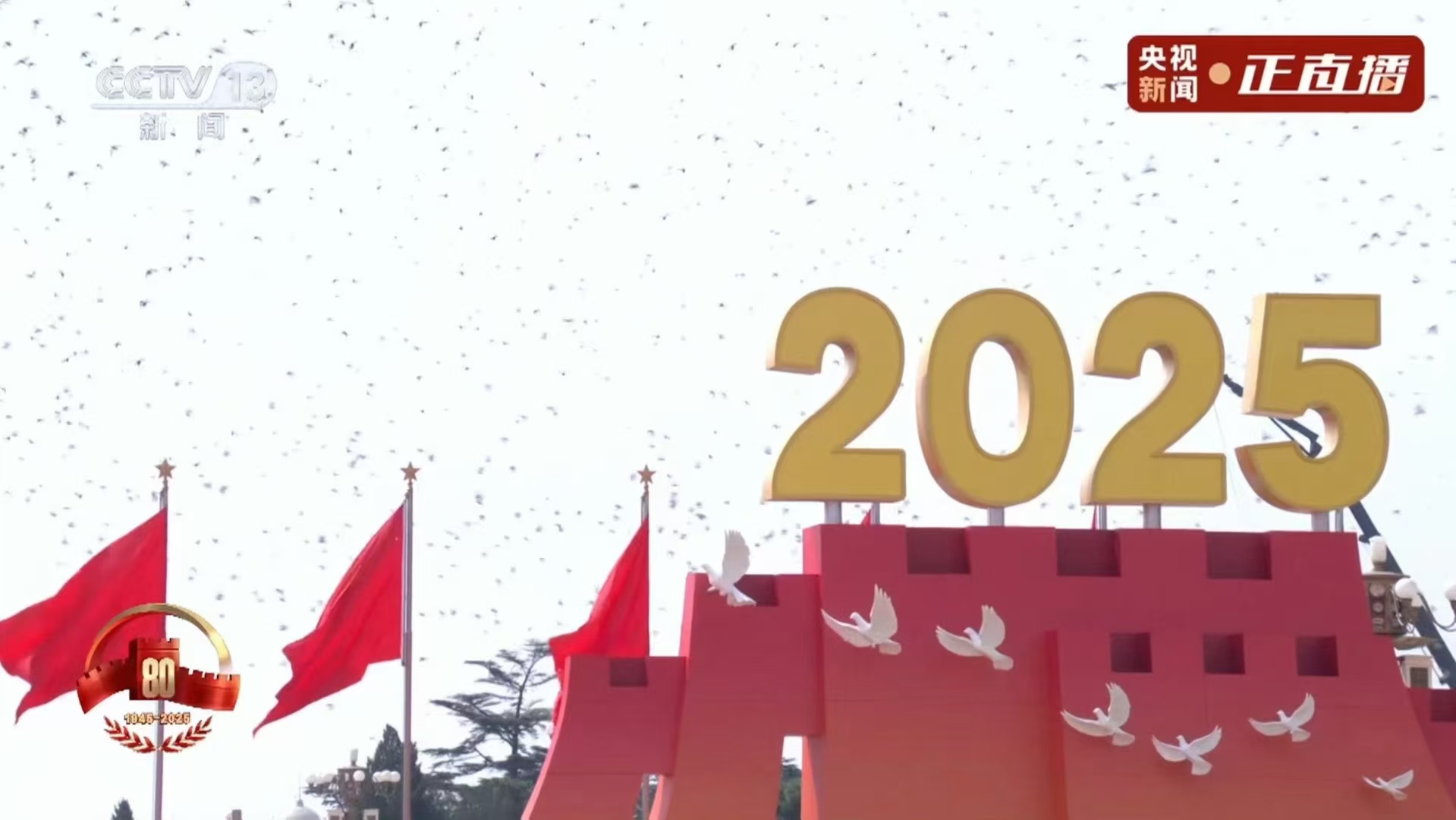 为纪念中国人民抗日战争暨世界反法西斯战争胜利80周年大会之观看阅兵仪式