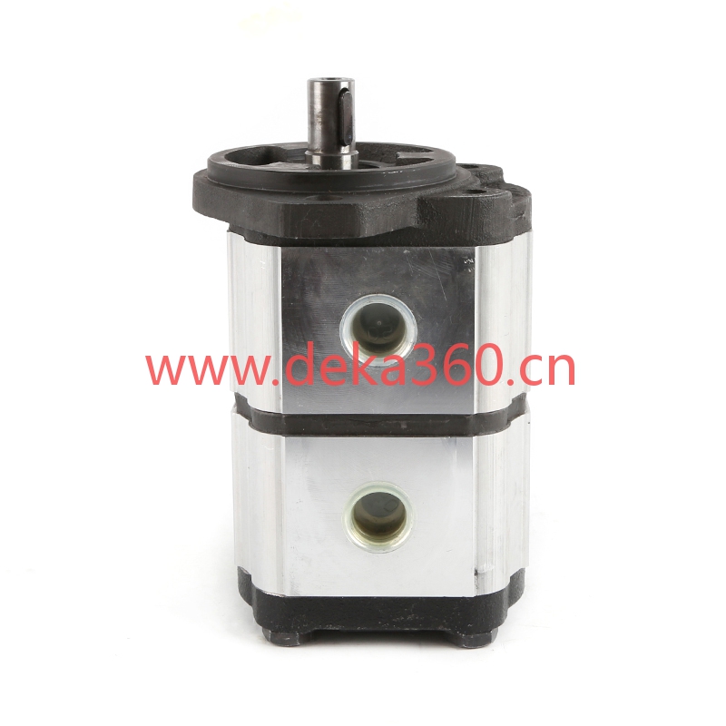 OT OilTechnology齿轮泵OT200P08+08D/G31S2