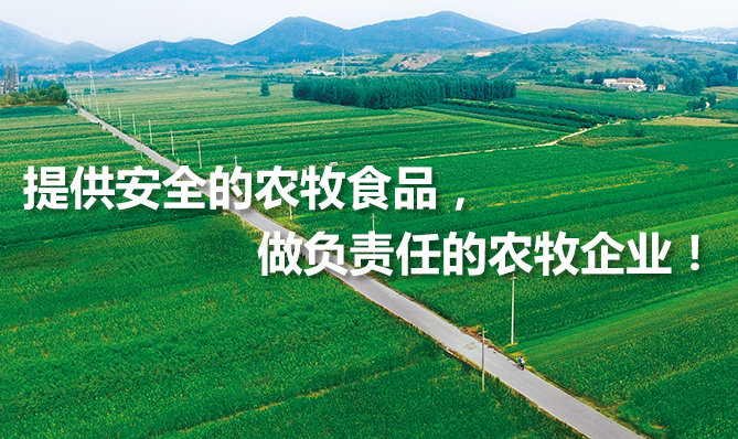 环山集团与我公司签订小鱼易连视频会议合作协议