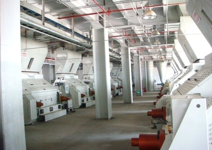 广州植之元油脂实业有限公司