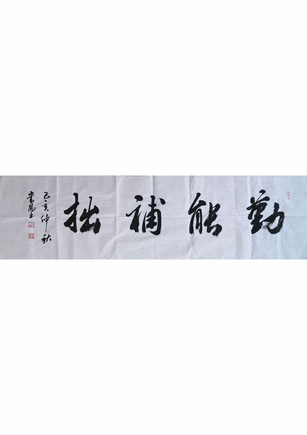 王嵩阳：勤能补拙